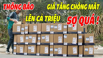 Cưa Xích Husqvarna 365 Thụy Điển Tăng Giá Chóng Mặt | Xem Ngay Để Biết