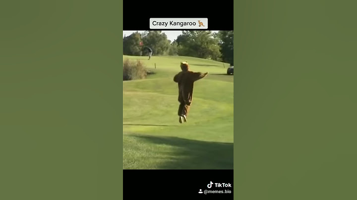 El Canguro va molestando a Todos🤣. Kanguro loco.