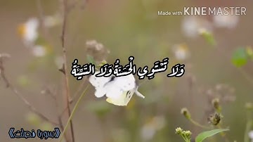 #قرآن|سورة فصلت|إِنَّ الَّذِينَ قَالُوا رَبُّنَا اللَّهُ ثُمَّ اسْتَقَامُوا...|#alkholi#|quran#هدوء