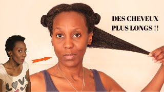 DES CHEVEUX PLUS LONGS : MASQUE AUX 4 POUDRES AYURVEDIQUES !!