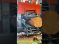 Log Reduction: A Drum Chipper Processing Timber for Mushroom Cultivation Substrate
