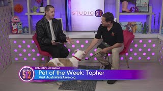 Pet of the Week: Meet Topher from Austin Pets Alive! | Adopt a Puppy in Austin