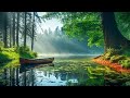 Beautiful Relaxing Music - Soothing Autumn Melodies, Mindful and Peaceful Piano Instrumental Music 5