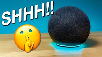 How to STOP Alexa Suggestions!