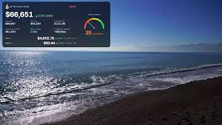 ⚡ Bitcoin Live Price Tracker 24/7 | BTC Fear & Greed | Beach Ambience