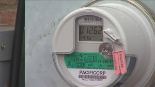 NYSEG to install smart electric meters