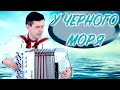 🌊У ЧЕРНОГО МОРЯ - поет баянист Вячеслав Абросимов