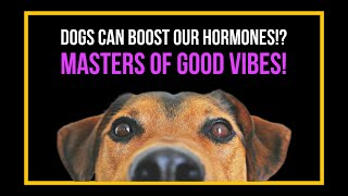 5 Ways Dogs Improve Your Mental Health | Science Explained