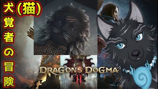 【ドラゴンズドグマ2】＃2　犬(猫)覚者、街に辿り着く🏙🐺【Dragon's Dogma2】【津軽弁狛犬Vtuber】