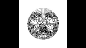 Space Colonization Growth experiment