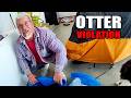 Couple Learns The Hard Way That You Cannot Shoot Otters
