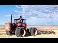 VERSATILE 700 4wd Tractor Chisel Plowing