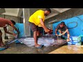 Amazing 250kg huge blue marlin fish cutting skills in sri lankas traditional village fish market