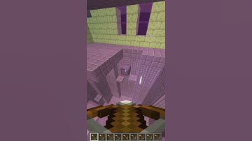 Did You Know This About Shulkers? 🤔🤔🤔 #shorts #minecraft