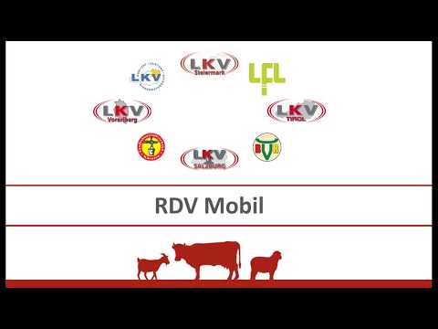 RDV Mobil   5 zum Kalben, Tagesliste und Termine