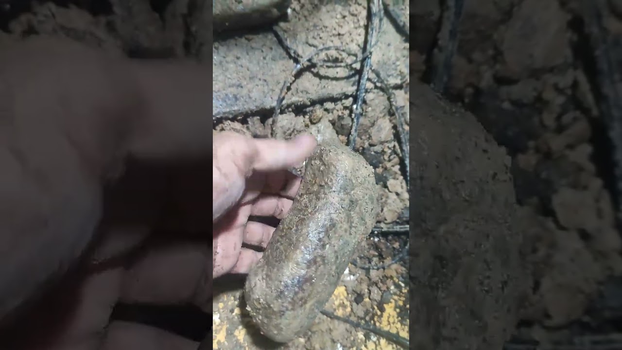 Kanji kin deposit target lock at 125ft. Through hidden trail marker double check with Aura meter, 