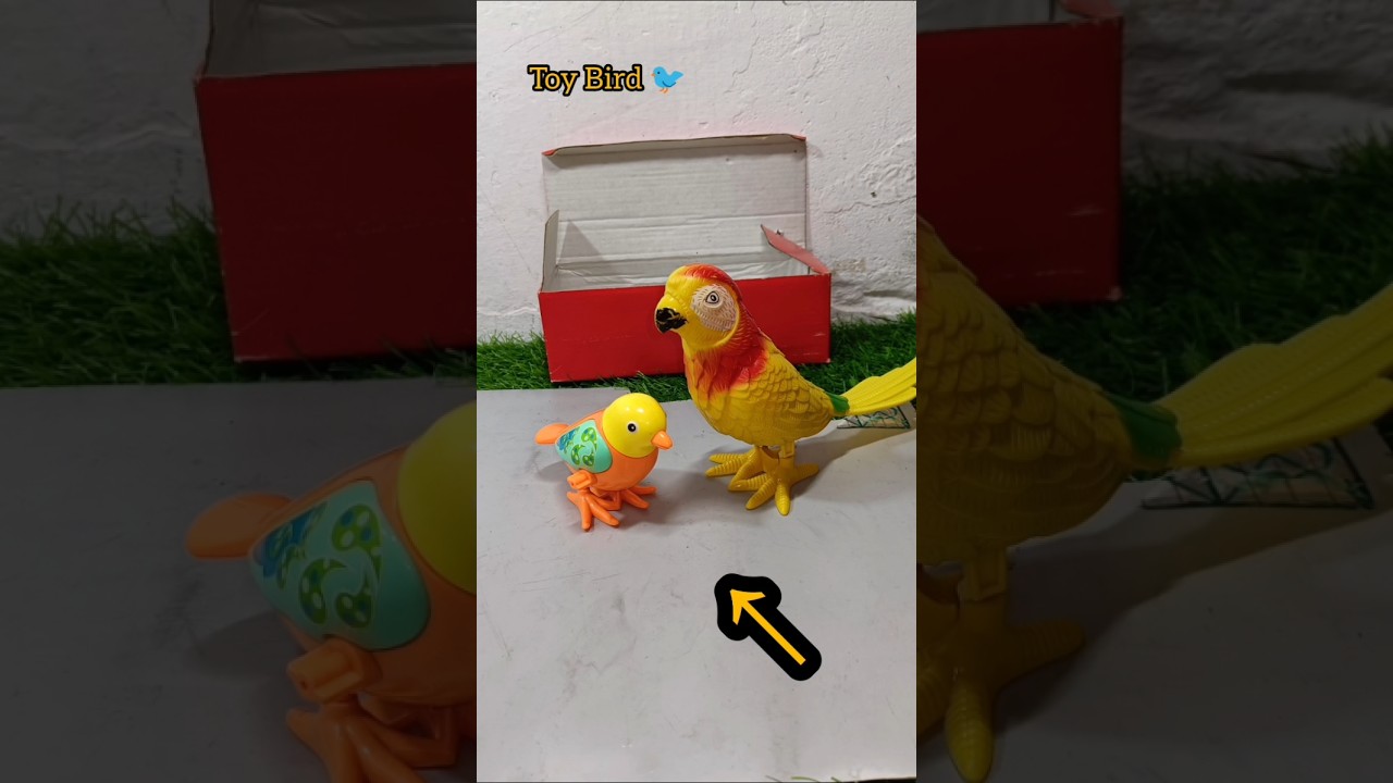 rc toy unboxing short video | Bird 🐦 