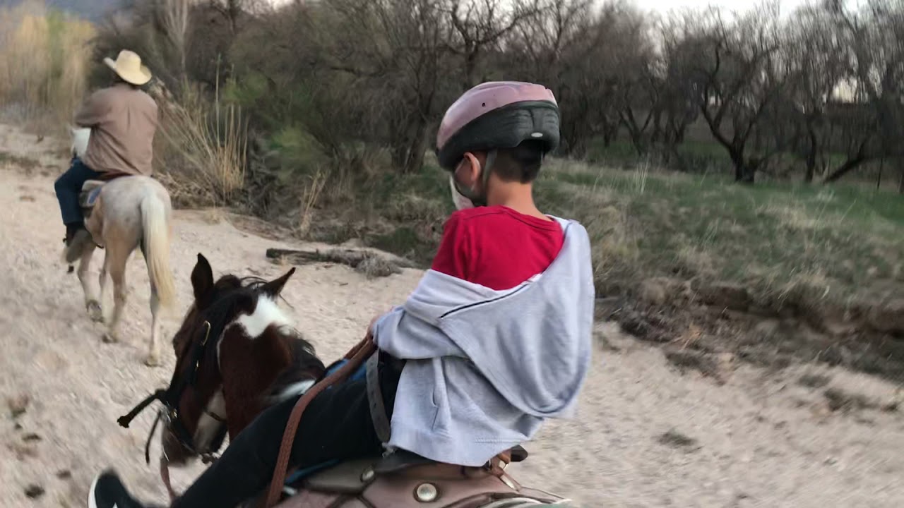 Horseback riding in Tucson Arizona YouTube