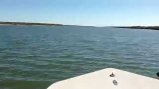 IMG 0814 1