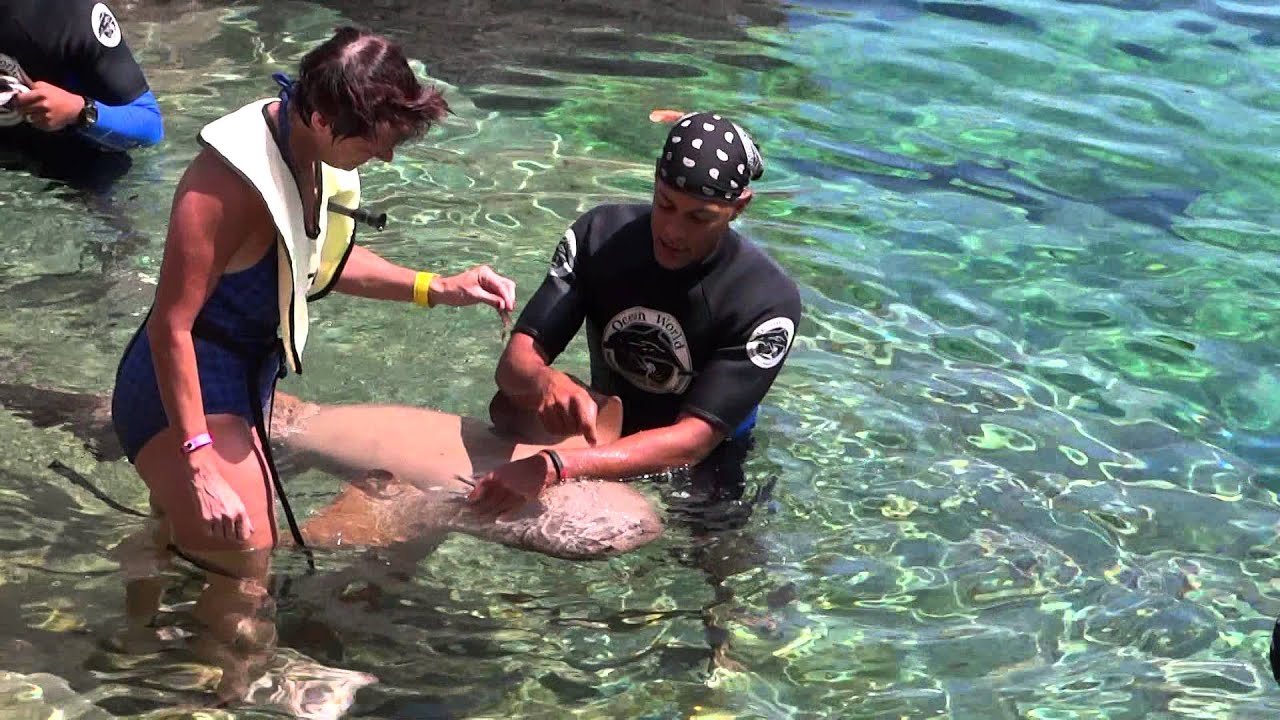 OCEAN WORLD - PUERTO PLATA , DOMINICAN REPUBLIC