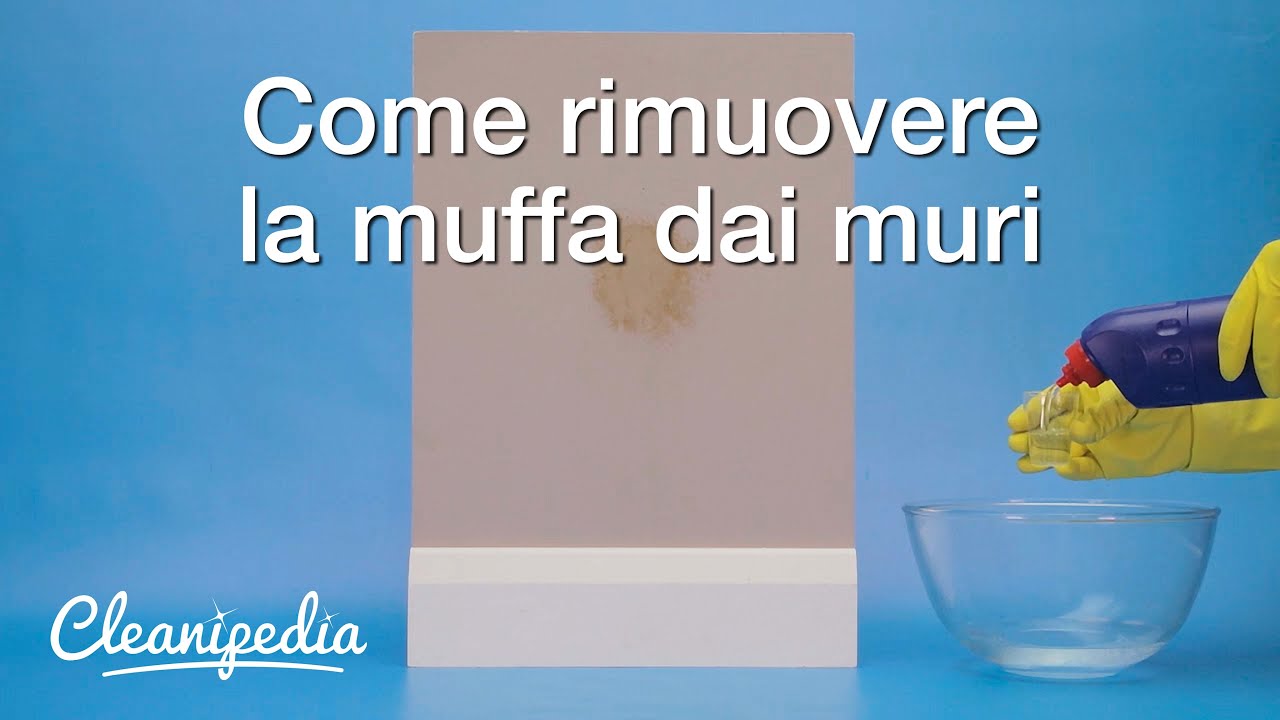 Come rimuovere la muffa dai muri youtube Come pulire i muri