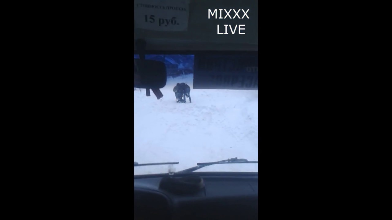 Poistné udalosti  Kooperativa