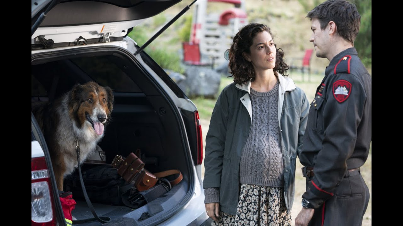 This Dog Changed His Life – Rescued by Ruby Recap - YouTube