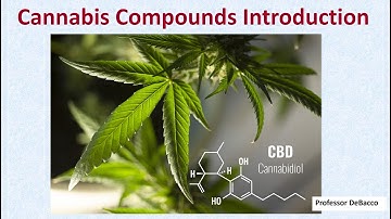 Cannabis Compounds Introduction