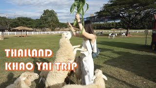 泰國避暑旅遊聖地-考艾葡萄酒庄品酒農場親近餵羊Thailand ... 