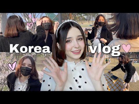 korea vlog ep1🇰🇷| chaotic picnic day with friends and cherry blossom♡
