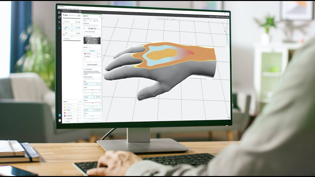 Introducing Digital Anatomy Creator