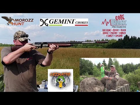 Wideo: Co powinno nosić Gemini?