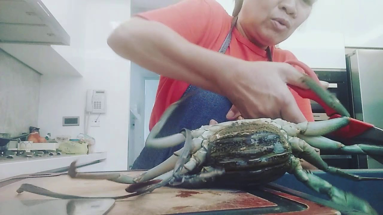 THE CRAB KILLER!! YouTube