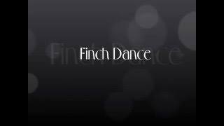 Finch Dance