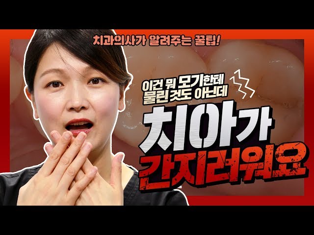 잇몸이나 치아가 간지러울때 그 이유는? 치과의사가 알려주는 꿀팁 | 강남 아름드리치과