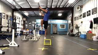 Rotational Step Up With Chop