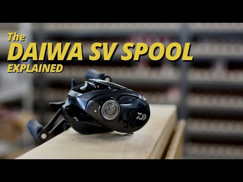 DAIWA　　sv Amazon.com : Daiwa ZILLION SV BAITCASTING Reel - HIGH Speed Left