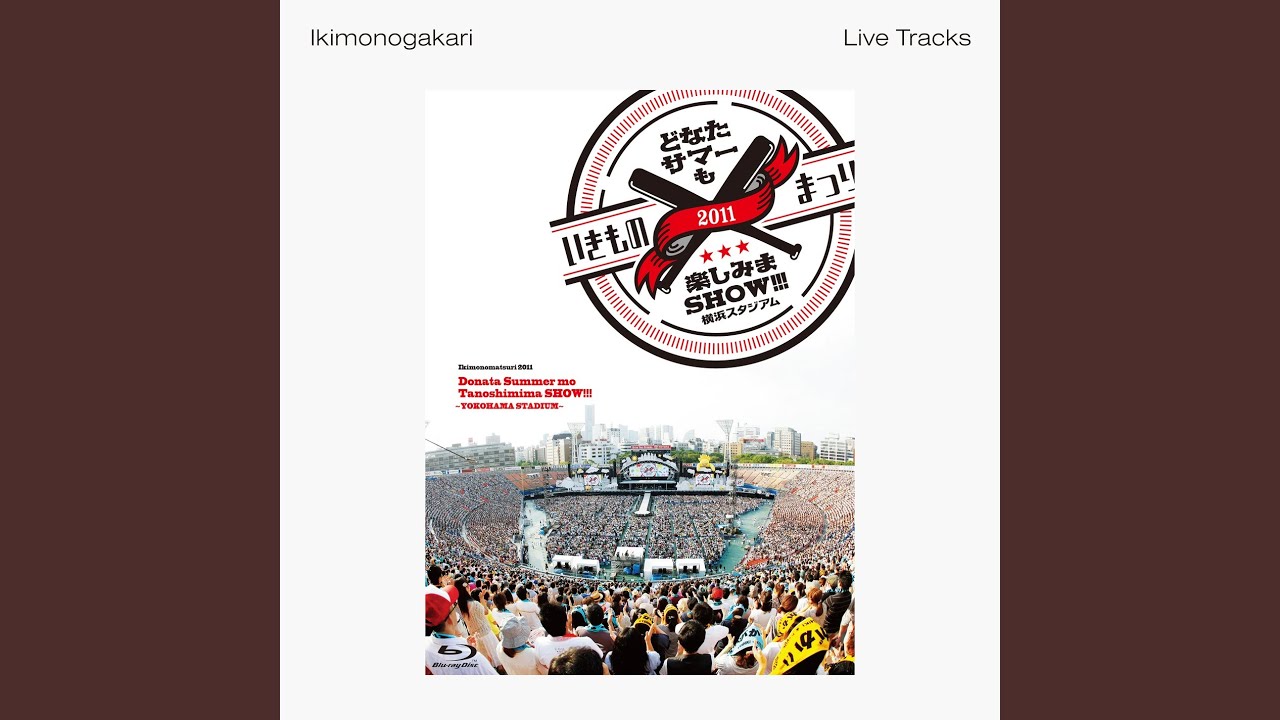YELL -2011 Live Track-