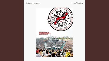 YELL -2011 Live Track-