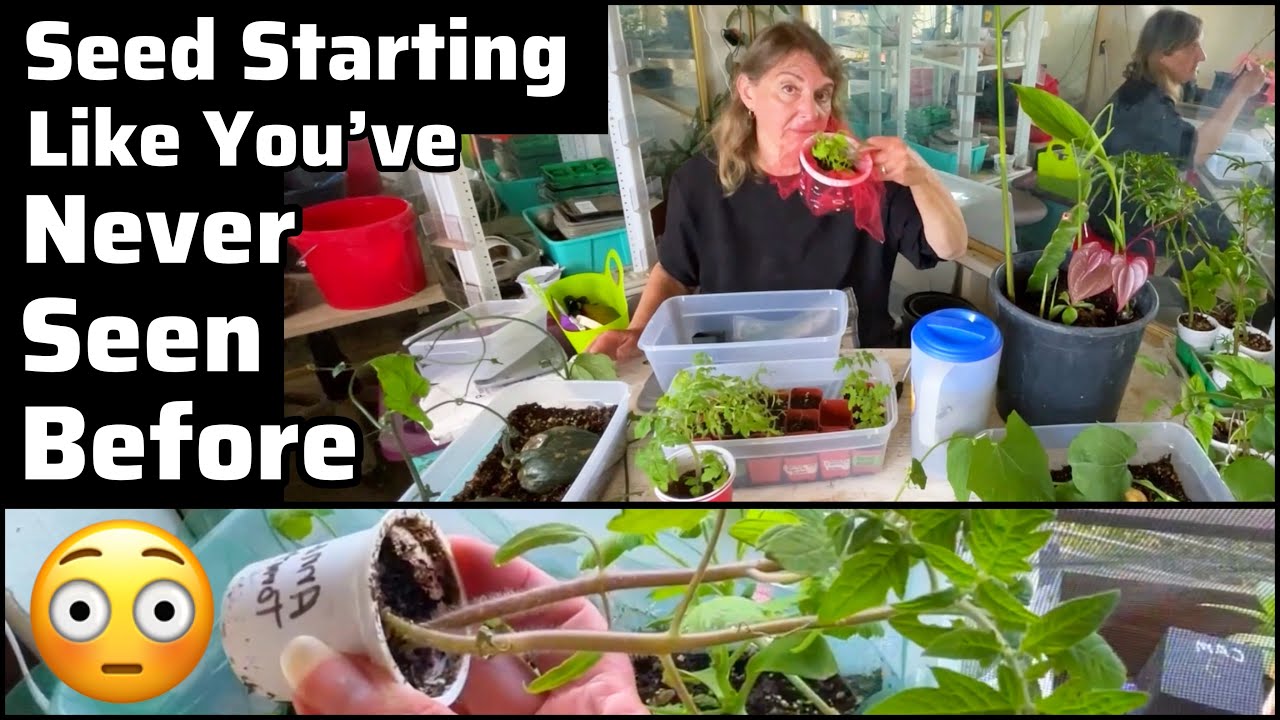 EASY Seed Starting Method How to Start Seeds Indoors with No Mess Grow TONS In Small Space Gardening