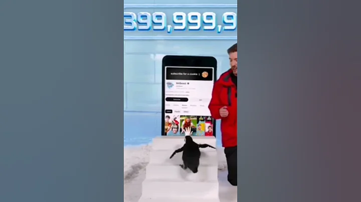 Can  I teaching Penguin subscribed # mrbeast