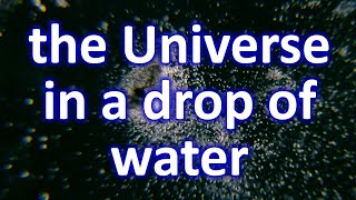 The Universe in a drop of water. Under the microscope // invisible world