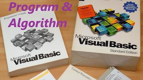 Program & Algorithm | Visual Basic