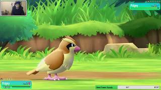Pidgey Master! Level 17 vs Level 65 | Stream Highlight