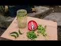 How to Make a Homemade Vegetable Cutter with DC Motor & Battery | DIY Science Project