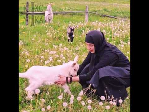 Happy orthodox monks