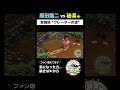 【宮城県秘湯旅】SS級の秘湯野湯！深くて気持ちいい！【クレーターの湯】