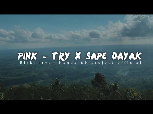 Pink - Try X Meldody Dayak_Riski Irvan Nanda 69 project class=