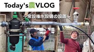 農VLOG 常設潅水設備の設置 林ぶどう園 2021-2-13