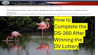 How to Complete the DS-260 After Winning the DV Lottery #ds260 #dvlottery2026 #dvlottery #greencard
